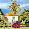 Martinique House Portrait - Oil Paintings - By Nataly Jolibois, Impressionist Painting Artist